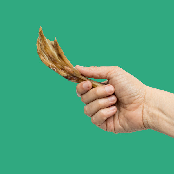 whole duck feet