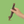 Load image into Gallery viewer, whole duck necks