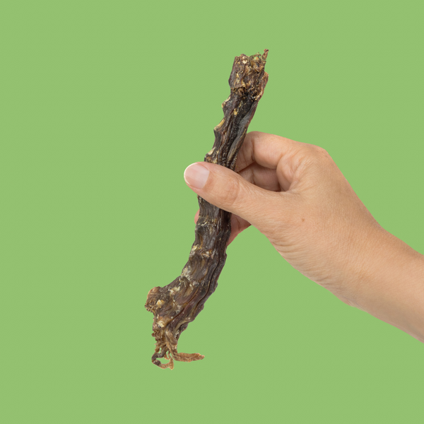 whole duck necks
