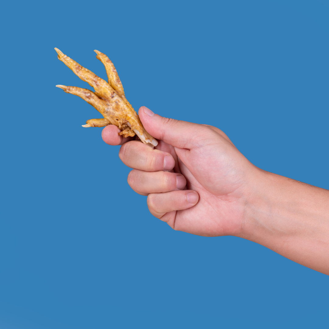 Can dogs eat chicken feet best sale