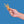 Load image into Gallery viewer, free-range, whole chicken feet - 10ct - King Lou Pets
