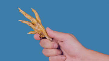 Why You Should Feed Your Dog Chicken Feet
