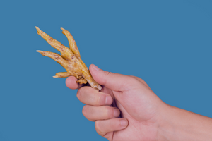 Why You Should Feed Your Dog Chicken Feet