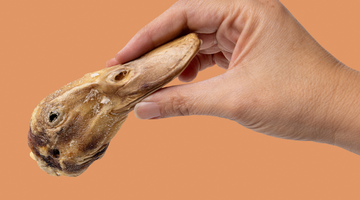 Duck Heads for Dogs: Your Dog's New Favorite Healthy Treat