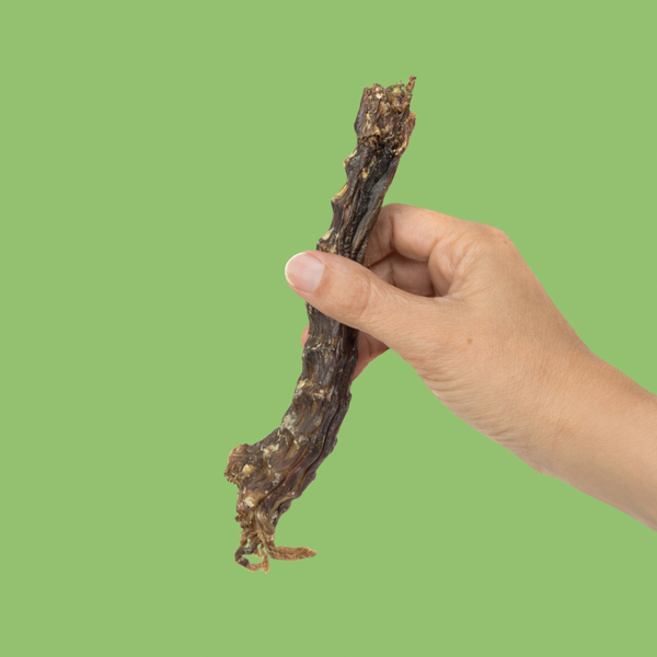 Active Chewer Bundle