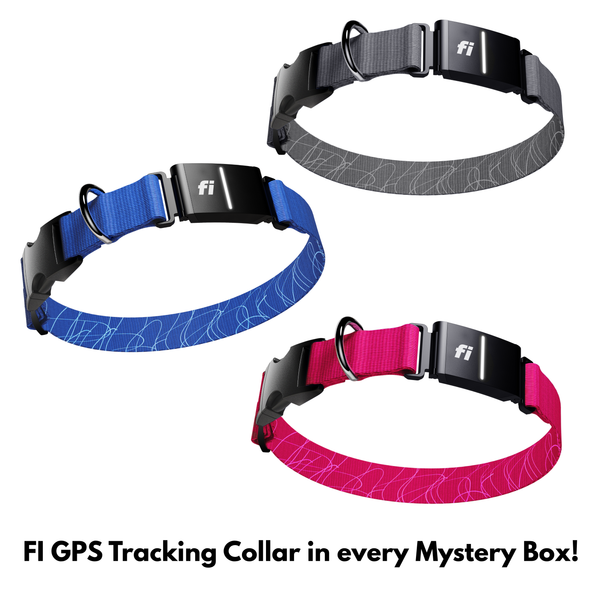 Limited Edition: October '25 Mystery BOX