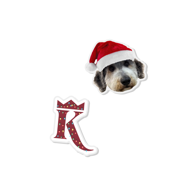 Limited Edition Acrylic Pin Set