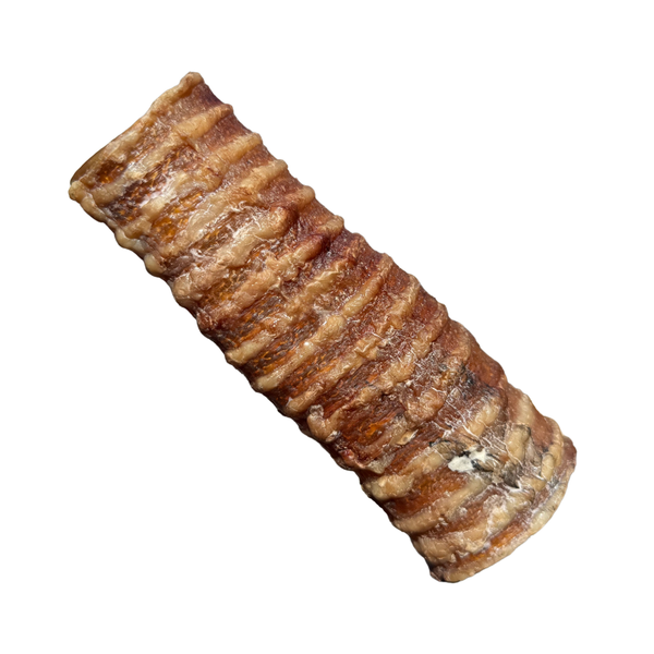 beef trachea