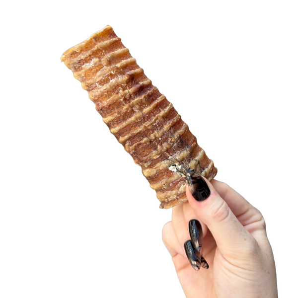 beef trachea