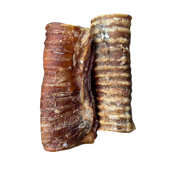 beef trachea