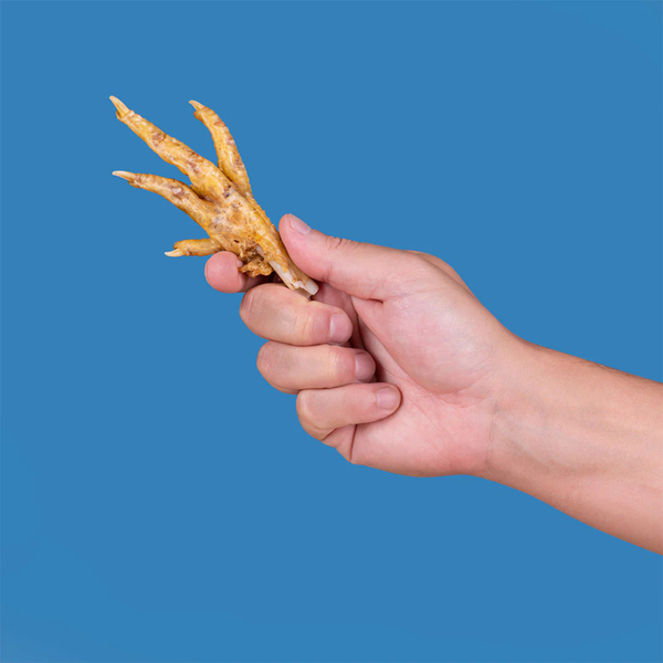 New Puppy Starter Bundle