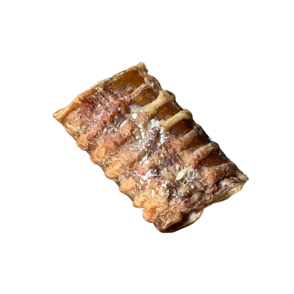 beef trachea