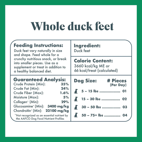 5 Pack: Dental Health Bundle