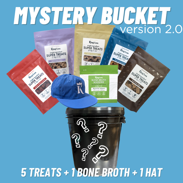 Limited Edition: 4 Year Anniversary Mystery Bucket Version 2.0