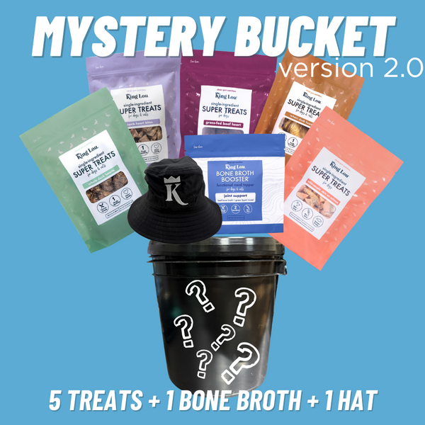 Limited Edition: 4 Year Anniversary Mystery Bucket Version 2.0