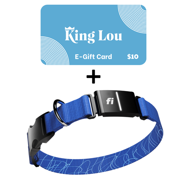 Smart Collar + Gift Card