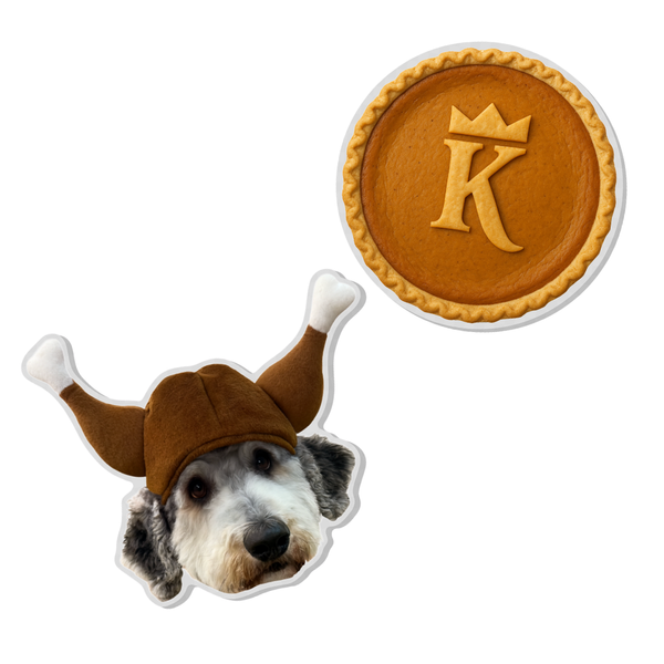 Limited Edition Acrylic Pin Set