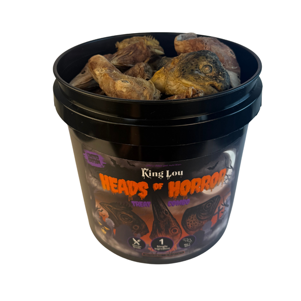 Limited Edition Halloween Treat Buckets🎃