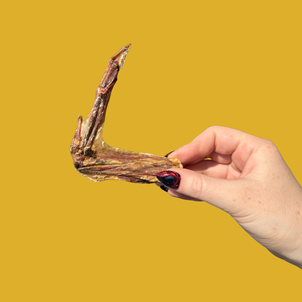 whole duck wings